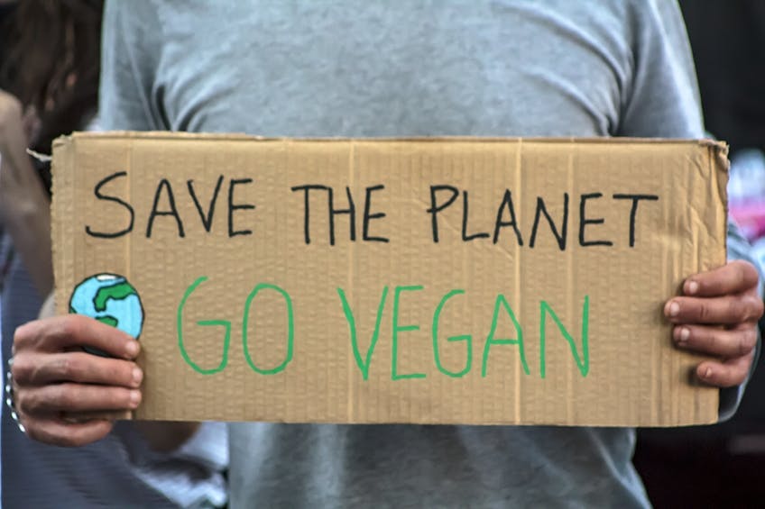 ¿Deberías unirte al movimiento vegano?
